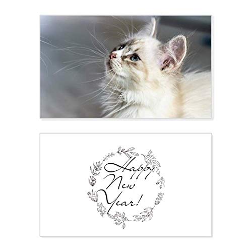 Tarjeta de Año Nuevo de gato blanco: felicitación navideña original y postal de colección