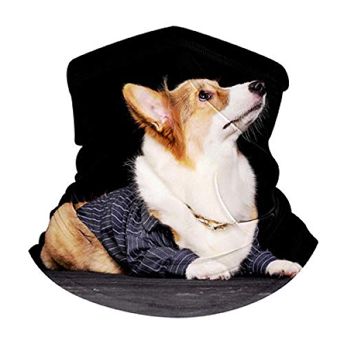 N/X Turbante Mgico Multifuncional Proteccin Al Aire Libre Proteccin Solar Equitacin Deportes A Prueba De Viento Bufanda Tubular Animal Lindo (Perros con Ropa)