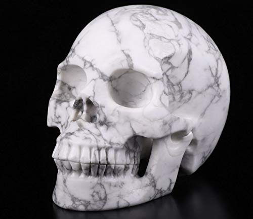Skullis 5.0" Howlite Crystal Skull, Hand Carved Gemstone Fine Art Sculpture, Reiki Healing Stone Statue. #TOP2