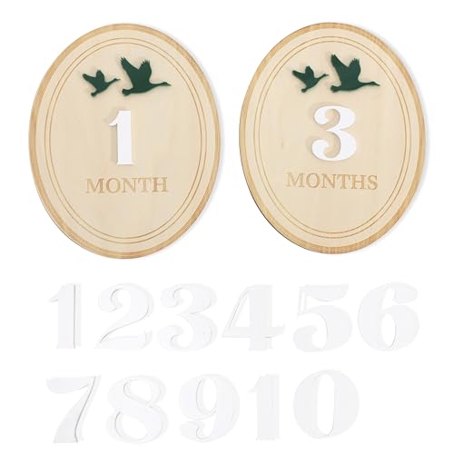 Duck Monthly Birth Announcement Sign for Hospital - Duck Monthly Milestone Markers,Baby Milestone...