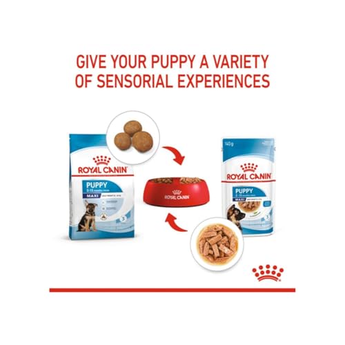 Image of Royal Canin Maxi Puppy Food for Stage 3, 140Grams, Pack of 10 Sachet, Wet Food, Supports Immune System & digestive health, Provides Long growth, moderate energy