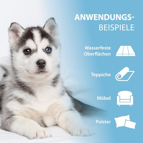 Enzymreiniger Hundeurin 750 ml – extrem stark gegen Hundepipi, Uringeruch und Flecken – biologisch, tierfreundlich, geruchsneutral – für Sofa, Teppich, Textilien, Auto, Hundebett & Boden – PIPI-Weg