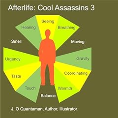 Page de couverture de Afterlife