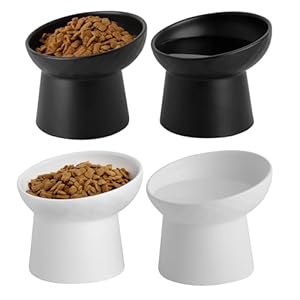 KITCHENLESTAR 4 Pcs Small Ceramic Raised Cat Bowls, Tilted Elevated Food or Water Bowls, Stress Free, Backflow Prevention, Dishwasher and Microwave Safe, Lead & Cadmium Free(2pc Black + 2pc White)