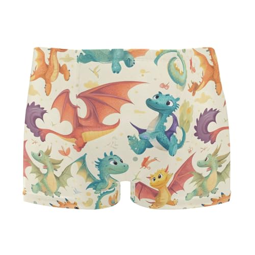 Men's Swim Briefs Cute Dinosaur Roar Swimsuit Swimwear Swim Trunk Square Leg for Men 3XL 202b8729