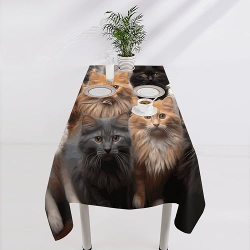 Nappe de table rectangulaire lavable pour protéger votre mobilier des taches - 5