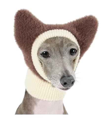 D DOGGY STAR C^OXq t jbgLbv rj[X قނXqi͊܂܂܂j ^ ^ H~ hbM[X^[ (, L)