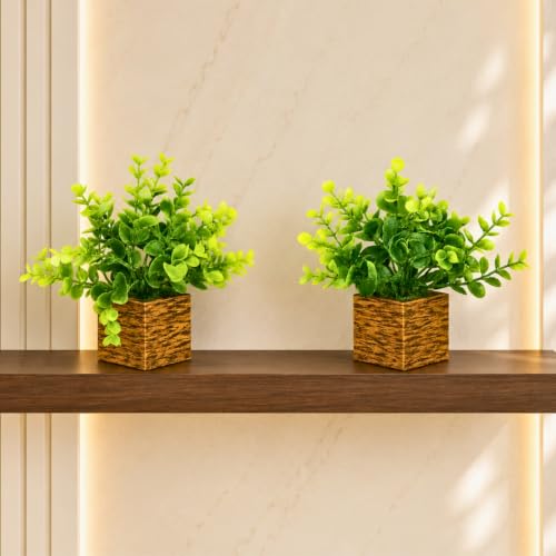 Image of DecoreBugs Artificial Eucalyptus Plant with Plastic Pot (Pack of 2) | 12 cm Height | Mini Potted Plants for Shelf Decor, Home, Office, Living Room, Desk & Table Item Decoration