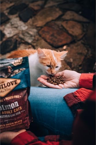 Carnilove Katze Sterilise im lachs 2 kg