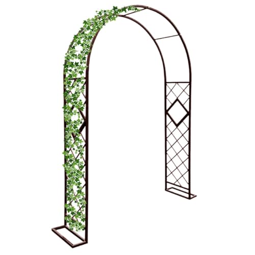 Pergola pour vignes et rosiers en acier contre l'affaissement des plantes grimpantes