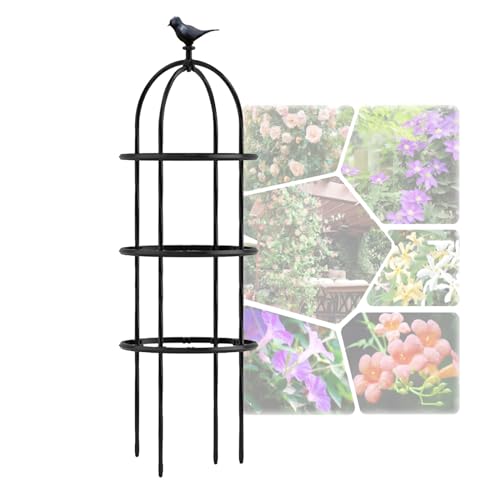 Obélisque de jardin en métal tuteur haut de gamme hauteur 330cm