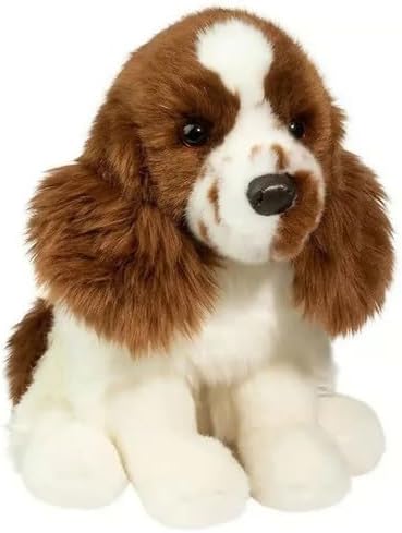 Chip Springer Spaniel