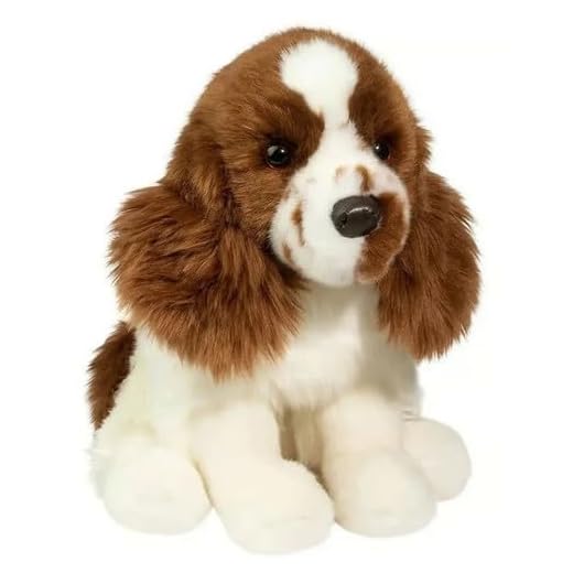 Chip Springer Spaniel