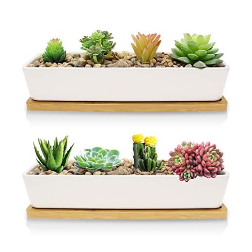 Farielyn-X 2 Pack White Succulent Planter Pots, 11.1 inch Long Rectangle Ceramic Plant Container with Bamboo Saucers, Mini Flower Cactus Pot Indoor Outdoor Home Garden Kitchen Decor, Plant not Include