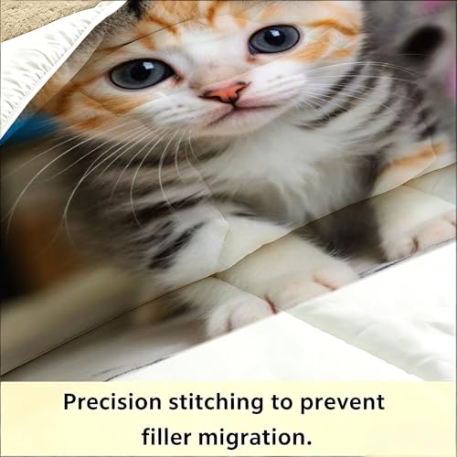 Couette 3D chat pour un confort optimal nocturne sans sensation de lourdeur