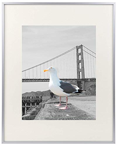 Frametory, 16x20 Metal Picture Frame Collection, Aluminum Photo Frame with Ivory Color Mat