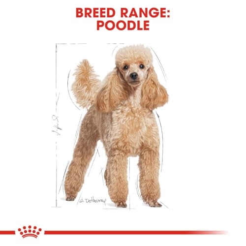 Image of Royal Canin Poodle Adult Dog Food, 1.5 Kg, Dry Food, Supports Beautiful Fur & Dental Health, Helps to Tone Muscles