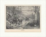 rotigrill  Kunstdruck Schwarzwild G. Rötig Animaux de la forêt, des collines, des arbres, des rames, des rochers ED 0314