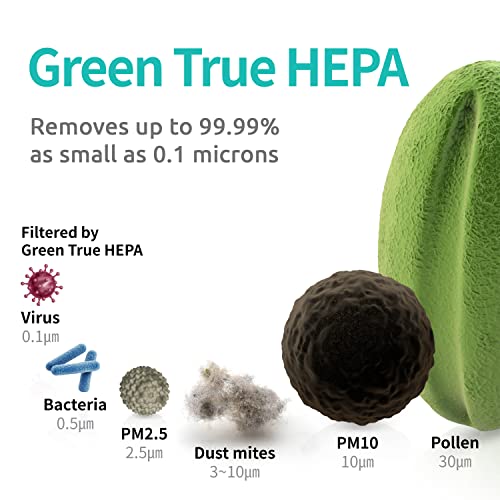 Image of Coway Original Max2 Filter for AirMega 300S (AP 1515G), 8500 Hrs (Approx. 1.5-2 yrs) Long Life | Traps Bad odor, VOCs & Kills Allergies, Virus, Germs, PM 0.01 with 99.999% efficiency