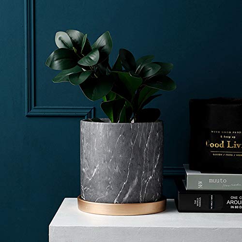 Pot de fleur pour cactus et succulentes idéal sur un bureau de travail