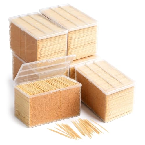 Palillos de bambú para barbacoa y limpieza dental con bote transparente 2