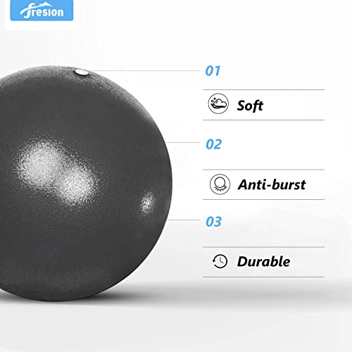 Fresion-Exercise-Ball-MiniYoga-BallPilates-Ball-25cm-for-HomeGym-TrainingExercise-core-Strength-SoftDurable