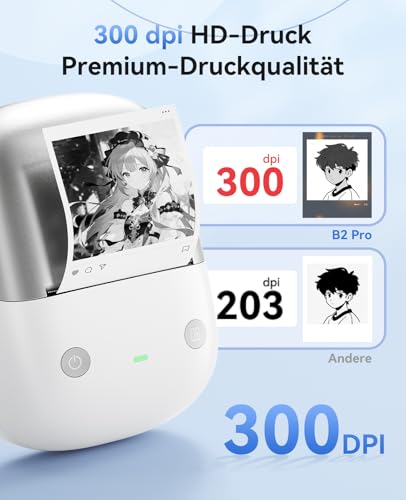 NIIMBOT B2 Pro Etikettendrucker mit Wasserfeste Etiketten Selbstklebend, 300DPI Etikettiergerät Druckbar in Rot und Schwarz Bluetooth Label Printer für Fotos, Adressetiketten, Preisschilder, Silber
