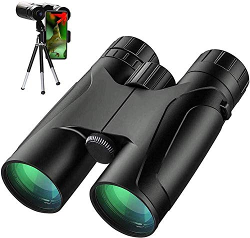 Binoculaires 10x50 YSJNGF télescope de gabiniers zoom pour adultes
