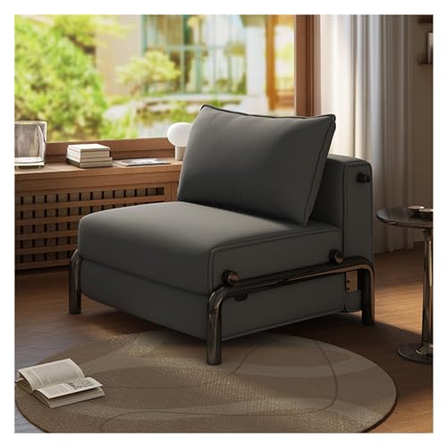 NexaGeniX Sofá Cama Sofá Cama Plegable, sofá Convertible, Moderno Chai for Sala de Estar, Dormitorio, Oficina en casa(Grey)