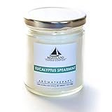 Maryland Candle Company, Eucalyptus Spearmint Candle 5.4oz, Natural Soy Wax, Infused with Essential Oils, Aromatherapy, Up to 30 Hr Burn, Recyclable Materials, Cotton Wick, Phthalate Free, Made in USA