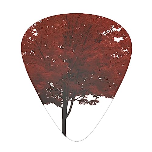 Red Tree Lot de 12 médiators tendance et durables dans une boîte pour ukulélé guitare électrique basse - Les Beatles, Paul McCartney, John Lennon, RIngo Starr, George Harrison Red Tree Lot de 12 médiators tendance et durables dans une boîte pour ukulélé guitare électrique basse