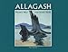 Allagash: Maine's Wild and Scenic River