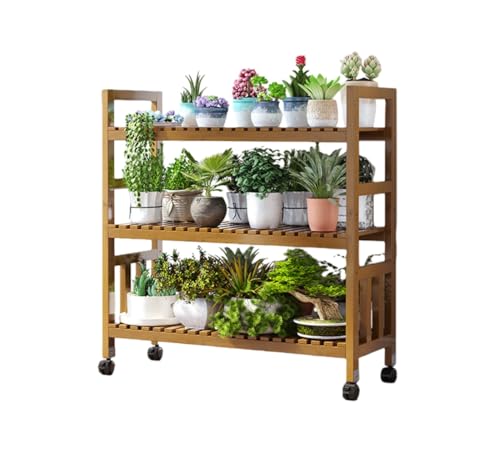 Fiozwea�v�����^�[�o���R�j�[�����t�B�I�Y�E�B�A���r���O�K�i���[���[�t����e�ʑ��w�����O�z�[���v�����^�[�W���~�͒I (100��3�K���Ăł��B,���F) [���s�A���i]