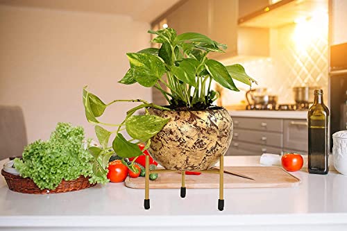 Image of HINS Metal Polka Round Shape Flower Plant Pot With Stand (Pink, Small Set of 3) Metal Pots For Indoor Plants I Elevated Garden Planter I Raised Planter I Desk Plant I Raised Planter Box I Ascent Homes Metal Planter I Raised Planter Box With Legs I Brass Pots For Indoor Plants I Golden Planter I Mid Century Plant Stand I Brass Planters For Indoor Plants I Indoor Plant Stand For Living Room I Metal Planters Pot For Indoor Plants designer pots for indoor plants