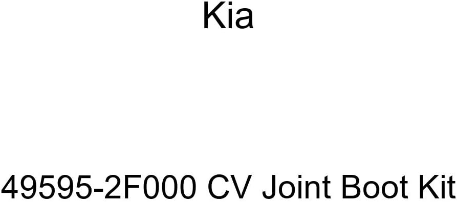 Hyundai kia 49595 1h010
