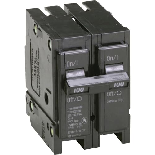 Eaton BR 100A Double-Pole Standard Trip Circuit Breaker - 1 Each
