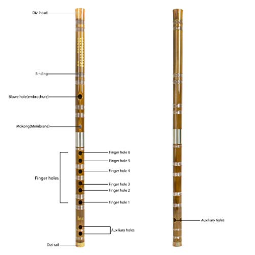 Bamboo Flute, Horse Dizi For Beginners Kids With Free Membrane Glue Traditional Handmade Chinese Musical Instrument (G Key) #TOP1