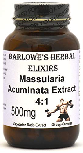 Massularia Acuminata Extract 4:1-60 500mg VegiCaps - Stearate Free, Bottled in Glass! Free Shipping on Orders Over $49! Massularia Acuminata Extract 4:1-60 500mg VegiCaps - Stearate Free, Bottled in Glass! Free Shipping on Orders Over $49!