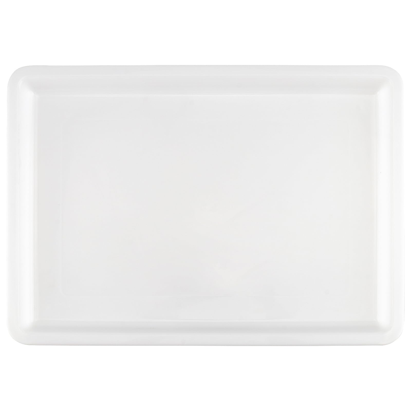 MOUYAT 10 vassoi grandi in plastica per attività artistiche, organizer per scuola, casa, progetti fai da te, pittura, perline, forniture organizzative, 39 x 29 x 4 cm