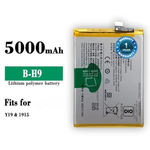 Image of THE BATTERY STORE Original Battery (B-H9) for Vivo Y19 1915 with with 1 Year warrenty (for B-H9)
