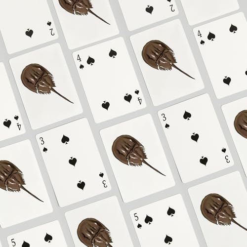Lantern Press Horseshoe Crab 52 Cartas Póker miniatura 4