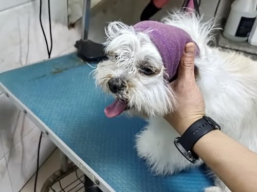 Image of Dog Head Cover Keep Calm Ear Wrap Hematoma for Bathing, Grooming, Thunder & Fireworks Pail Lilac+Pink M