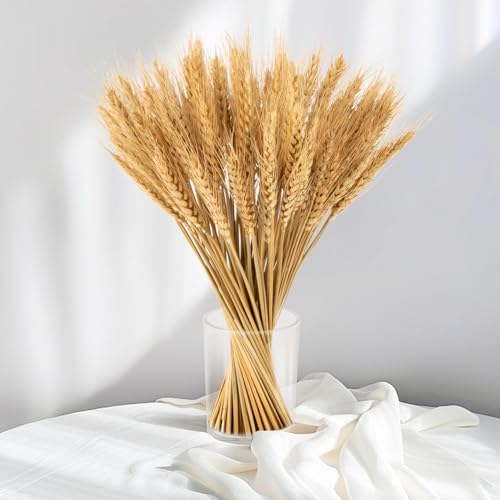 Sukh 100 Stems Dried Wheat Stalks - Boho Fall Decor for Home & Wedding