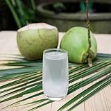 Bamboo Tree B0CY2FGQKX lato 3