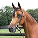 Billy Royal Arabian Training Bridle for Horses | 5/8