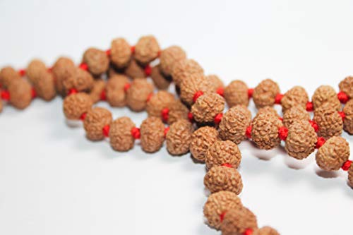 IndianStore4All Certified 7 Mukhi (Face) Rudraksha Mala (Necklaces) 108 + 1 Knotted Beads Japa Rosary Free Om Pouch (11mm) - Thumbnail 6