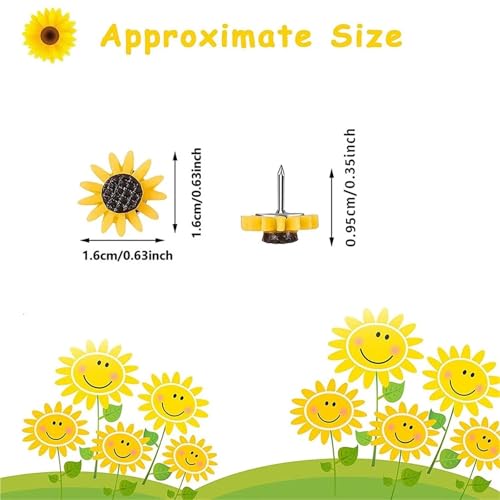 Chinchetas de girasol para colgar fotos y mapas de pared 4
