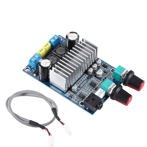 Module de caisson de basses TPA3116D2 100W à haut rendement énergétique