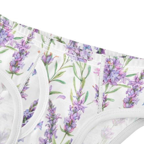 Boys' Exclusive Briefs Toddler Underwear 95% Combed Cotton Boxerbriefs 2T Lavender and Butterfly Pattern 784
