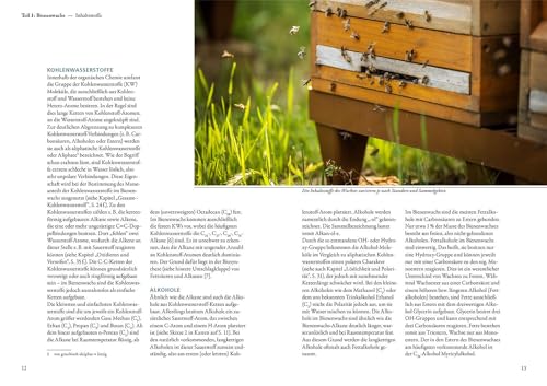 Cire d'abeille : méthode apiculture autosuffisante et guide technique de traitement - 4